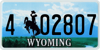 WY license plate 402807