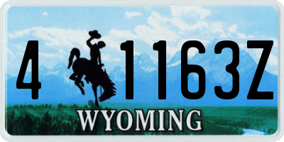 WY license plate 41163Z