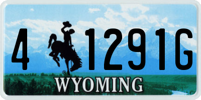 WY license plate 41291G