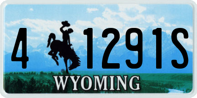 WY license plate 41291S