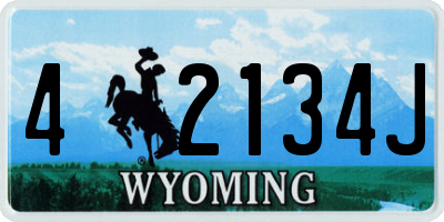 WY license plate 42134J