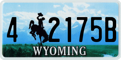 WY license plate 42175B