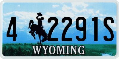 WY license plate 42291S