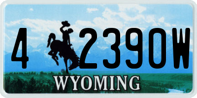 WY license plate 42390W