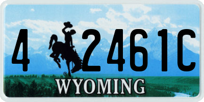 WY license plate 42461C