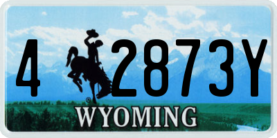 WY license plate 42873Y