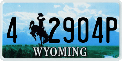 WY license plate 42904P