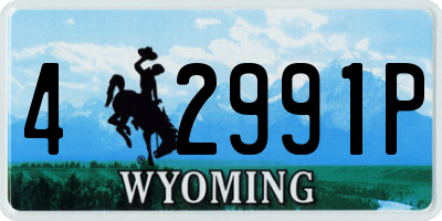 WY license plate 42991P