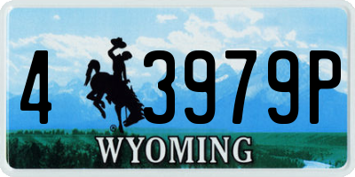 WY license plate 43979P