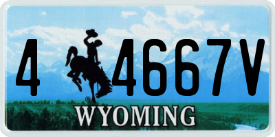 WY license plate 44667V