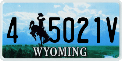 WY license plate 45021V