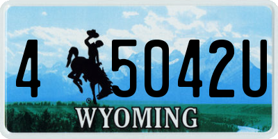 WY license plate 45042U