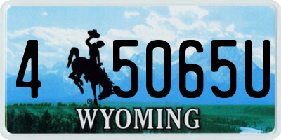 WY license plate 45065U