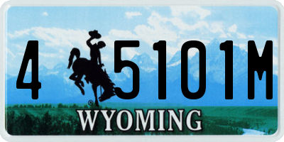 WY license plate 45101M