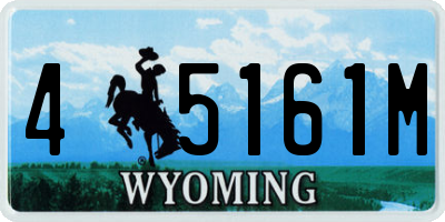 WY license plate 45161M