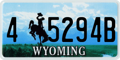 WY license plate 45294B