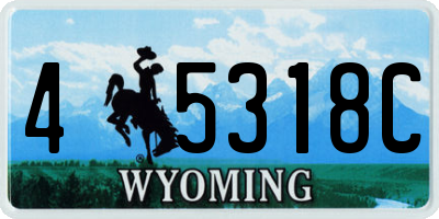 WY license plate 45318C