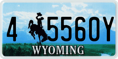 WY license plate 45560Y