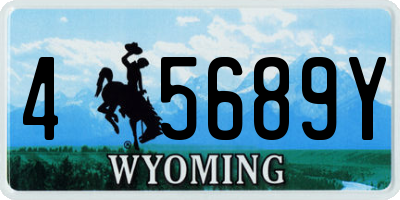 WY license plate 45689Y