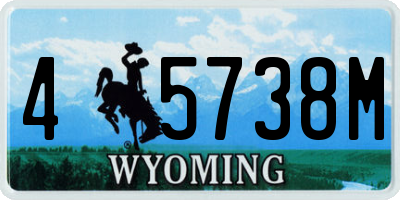 WY license plate 45738M