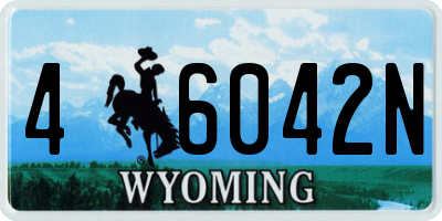 WY license plate 46042N