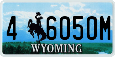 WY license plate 46050M