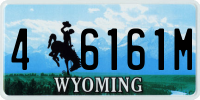 WY license plate 46161M