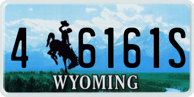 WY license plate 46161S