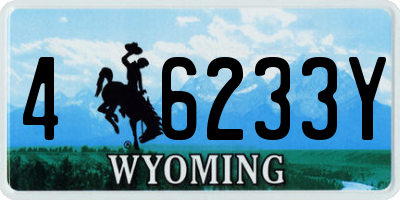 WY license plate 46233Y