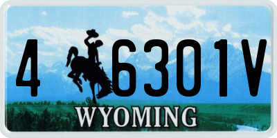 WY license plate 46301V