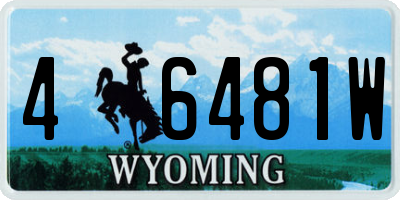 WY license plate 46481W