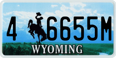 WY license plate 46655M