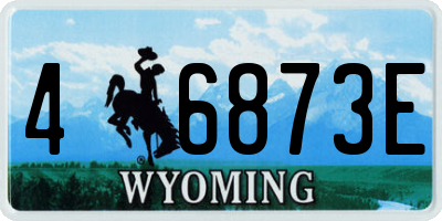 WY license plate 46873E