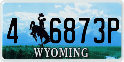 WY license plate 46873P