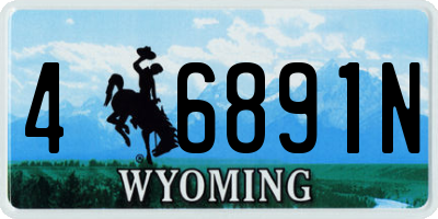 WY license plate 46891N
