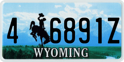 WY license plate 46891Z
