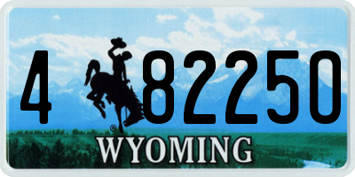 WY license plate 48225O