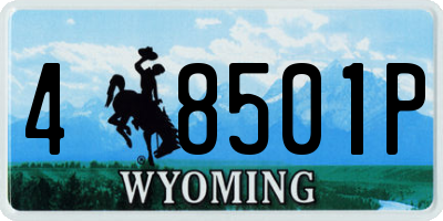 WY license plate 48501P