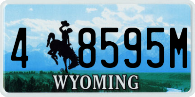 WY license plate 48595M