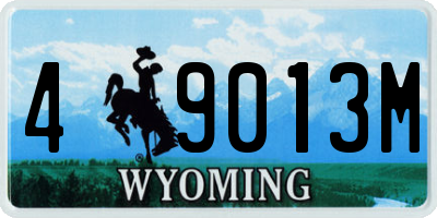 WY license plate 49013M
