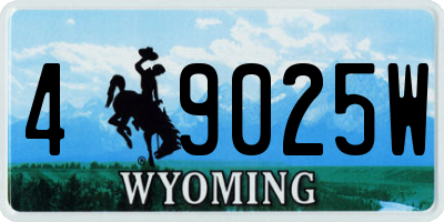 WY license plate 49025W