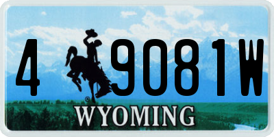 WY license plate 49081W