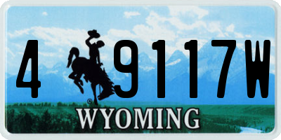 WY license plate 49117W