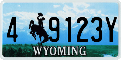 WY license plate 49123Y