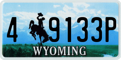 WY license plate 49133P