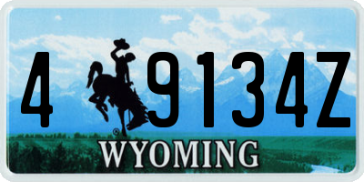 WY license plate 49134Z