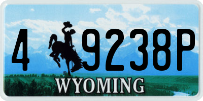WY license plate 49238P