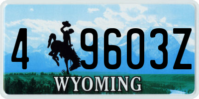 WY license plate 49603Z