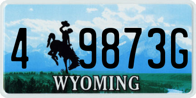 WY license plate 49873G