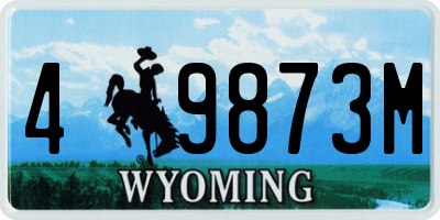 WY license plate 49873M